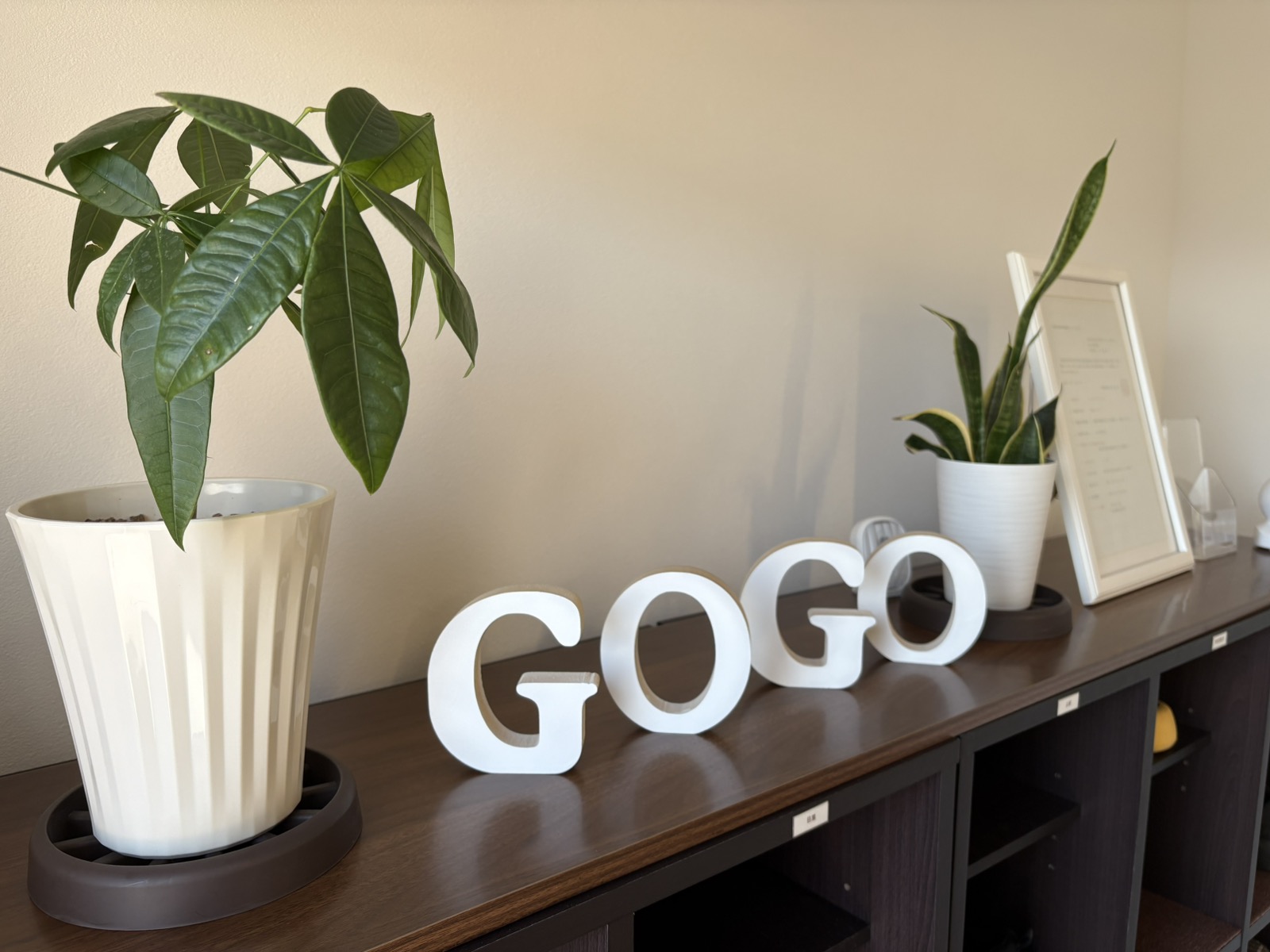 Viber_画像_2026-01-30_11-20-49-367